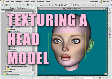 A:M Decaling Screen